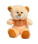 Dintanno Cute Dress Teddy Bear